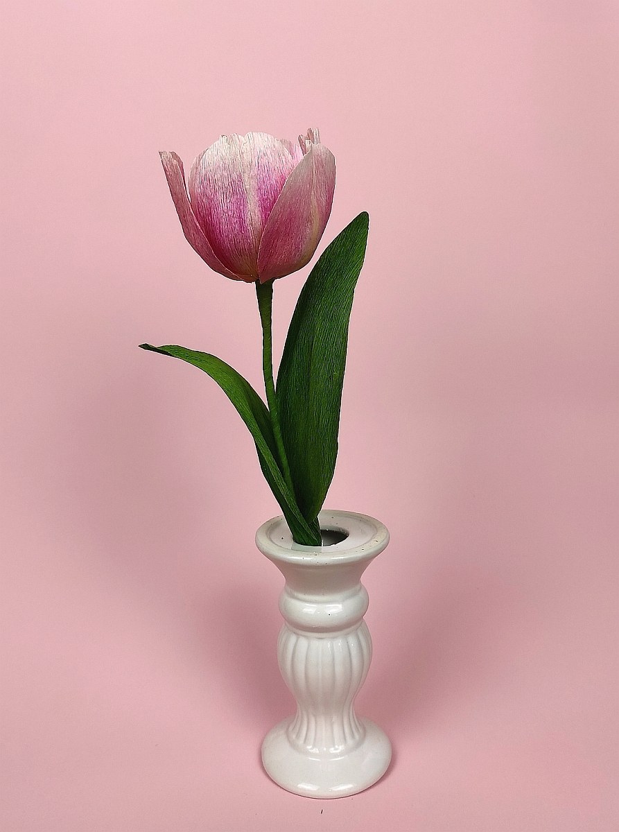 Tulipán
